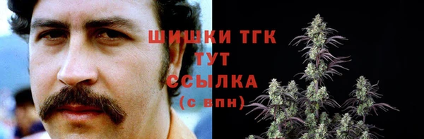 крисы Новозыбков
