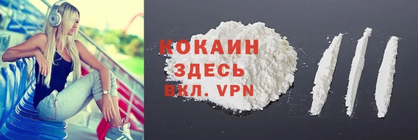 крисы Новозыбков