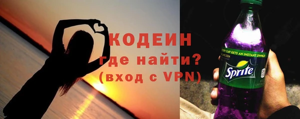 крисы Новозыбков