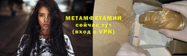 крисы Новозыбков