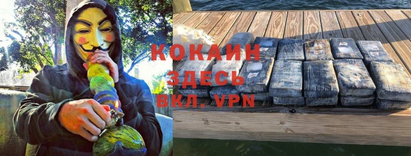 крисы Новозыбков
