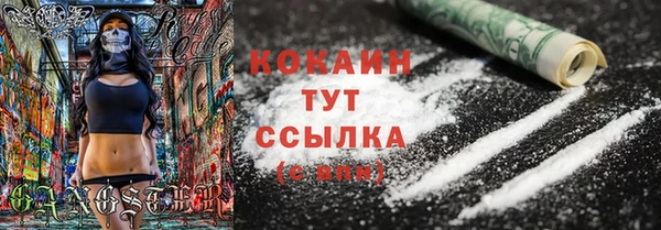 крисы Новозыбков