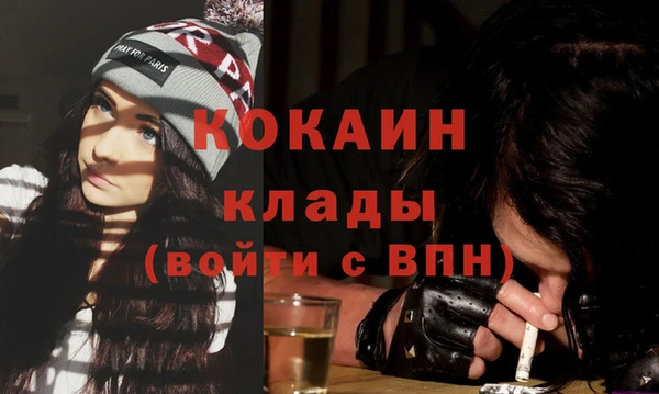 крисы Новозыбков