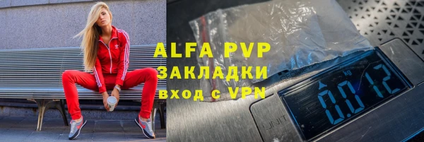 крисы Новозыбков