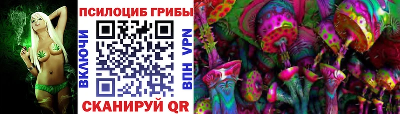 OMG как войти  Ржев  Псилоцибиновые грибы Cubensis 